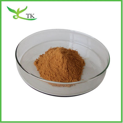 Wholesale Bulk 100% Natural Pure Ajuga Turkestanica Extract Powder Turkesterone 2% 10%