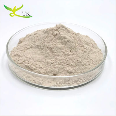 Wholesale Bulk Food Grade Fiber 100% Natural Psyllium Husk Seed Powder 98%