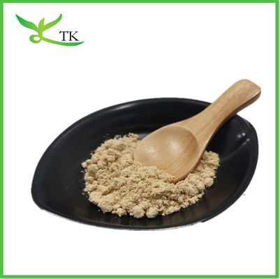Hot Selling Mangosteen Fruit Powder Alpha-Mangostin Mangosteen Extract Powder