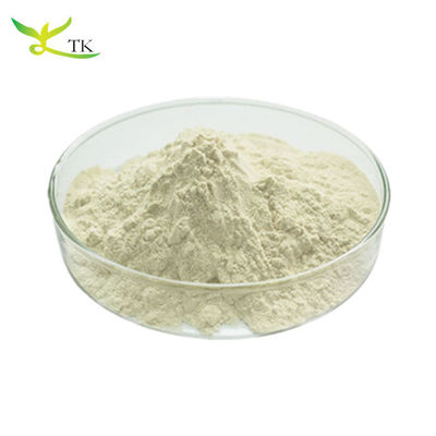 Wholesale Price Bulk Food Grade Bromelin Enzyme Powder Bromelain Pineapple Enzyme