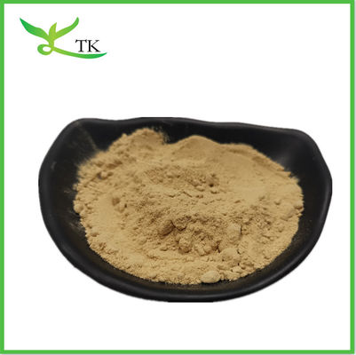 White Button Mushroom Polysaccharide Agaricus Bisporus Mushroom Extract Powder