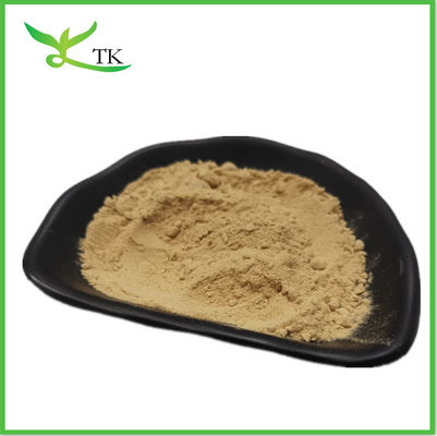 Health Care Coriander Extract Coriandrum Sativum Extract Cilantro Extract Coriander Powder