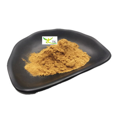 Natural Astragalus Membranaceus Extract Astragaloside IV Cycloastragenol Powder
