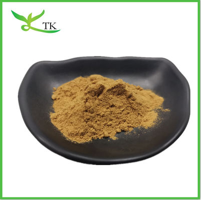 Wild Lettuce Extract Powder Lactuca Virosa Extract Wild Lettuce Leaf Extract