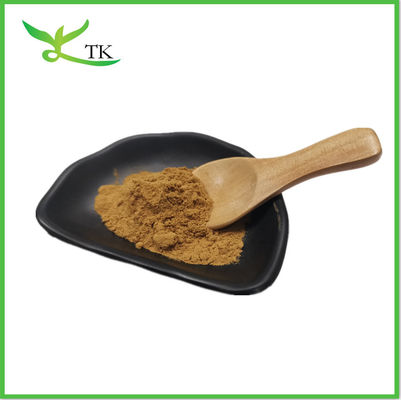 Pure Chia Seed Extract Protein Powder Chia Seed Extract Powder