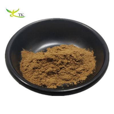 Top Quality Brahmi Extract 50% Bacopa Monnieri Extract Powder Bacopasides