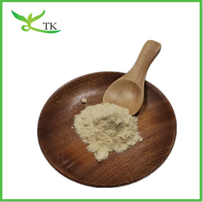 Food Green Apple Fruit Juice Concentrate Powder Green Apple Flavor Powder