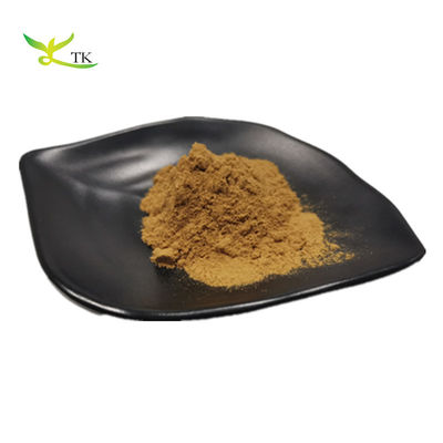Wholesale Price Natural Dried Lvy Leaf Extract Natural Ingredients 10:1 20:1 Ivy Leaf Extract Powder