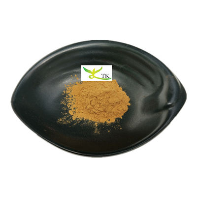 Wholesale Price Natural Portulaca Oleracea Purslane Herbs Extract Powder Purslane Extract 10:1