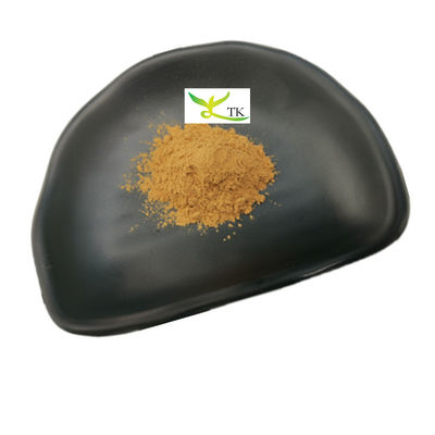 Wholesale Price Natural Agaricus Bisporus Extract Powder 10%~50% Polysaccharides