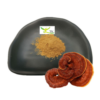 Wholesale Ganoderma Lucidum Extract Reishi Mushroom Extract Powder Polysaccharides 30%