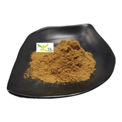 Natural YU XING CAO Houttuynia Cordata Extract Powder Heartleaf Houttuynia Herb Extract P.E