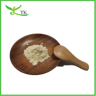 Herbal Supplement Phaseolus Vulgaris White Kidney Bean Extract 2% Phaseolin