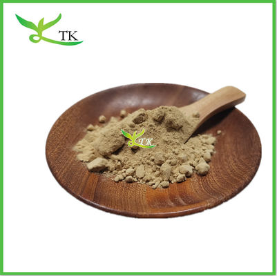 Wholesale Natural Marshmallow Root Extract Powder Marshmallow Extract