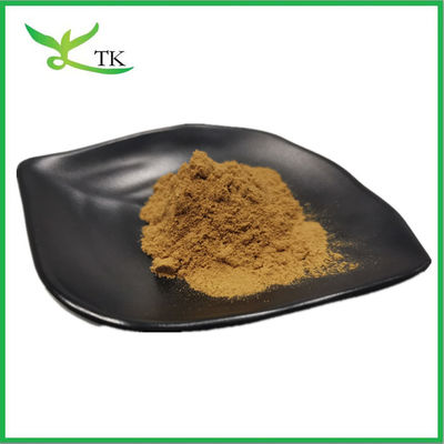 Wholesale Price 100% Natural Burdock Extract Powder Burdock Root Extract Food Grade