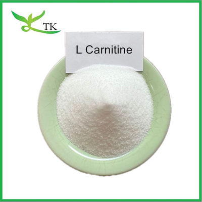 Food Grade Weight Loss Supplement L Carnitine Powder Raw Material  L Carnitine Base Powder
