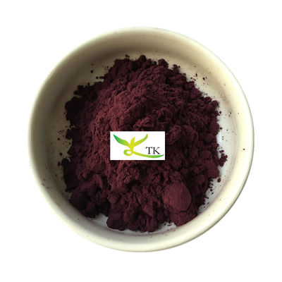 100% Natural Black Currant Extract Food Grade Black Currant Blackcurrant Extract Powder 10:1