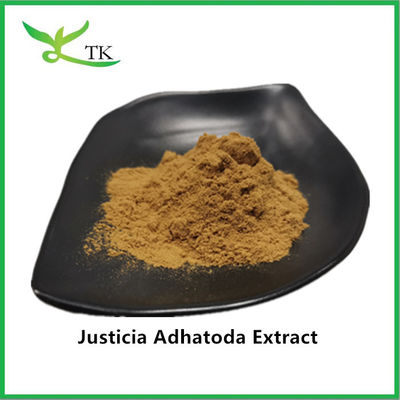 100% Natural Justicia Adhatoda Extract Powder Adhatoda Vasica Extract 10:1