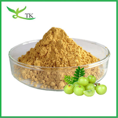 Best Price Food Grade Indian Gooseberry Extract Powder Amla Fruit Extract