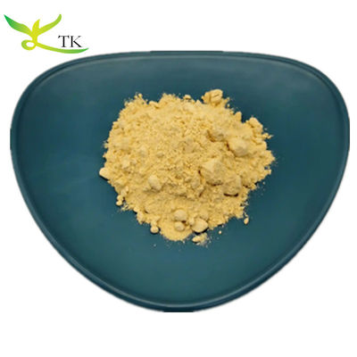 Best Price Food Grade Natural Vegetable Powder 100% Pure Pumpkin Powder in Bulk