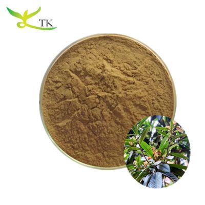 Natural Herbal Supplement Ingredient 10:1 20:1 Loquat Leaf Extract Powder