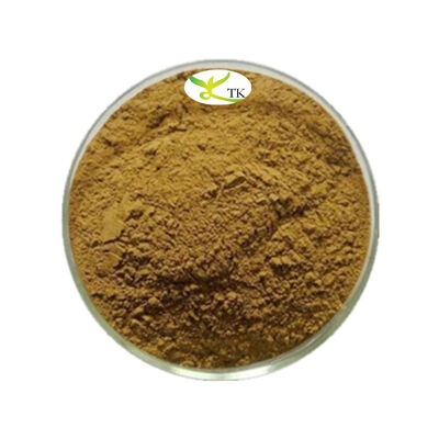 Natural Plant Extract Powder Terminalia Chebula Fruit Extract Powder 4:1 10:1