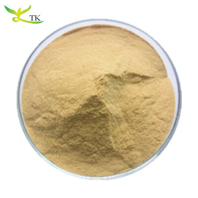 Wholesale Feed Grade Best Price Bulk Brewer's Yeast Powder Yeast Protein Powder