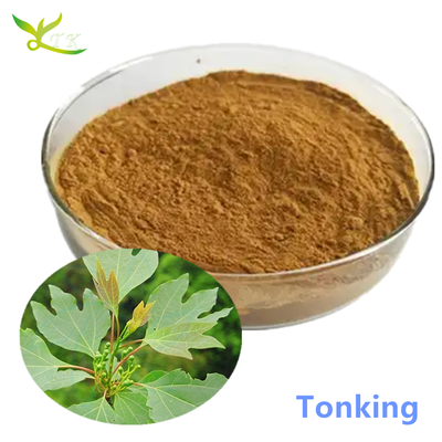 High Quality Sassafras Root Bark Extract Powder