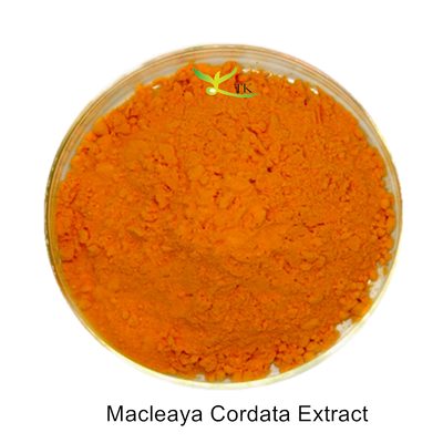 100% Natural Plant Extract Ingredient Macleaya Cordata Extract Powder 60% Plumepoppy Extract