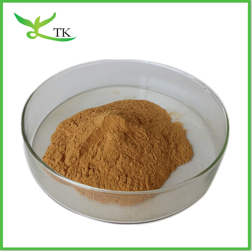 High Quality Radix Angelica Sinensis Root Extract Dong Quai Extract Powder