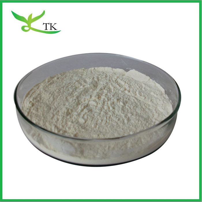 HACCP Factory Supply White Kidney Bean Extract Powder Food Grade Best Price