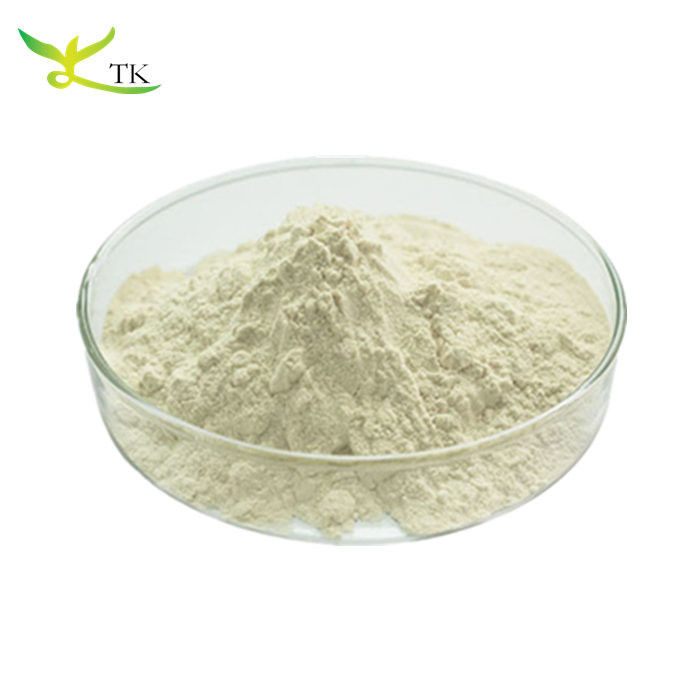 Wholesale Price Bulk Food Grade Bromelin Enzyme Powder Bromelain Pineapple Enzyme