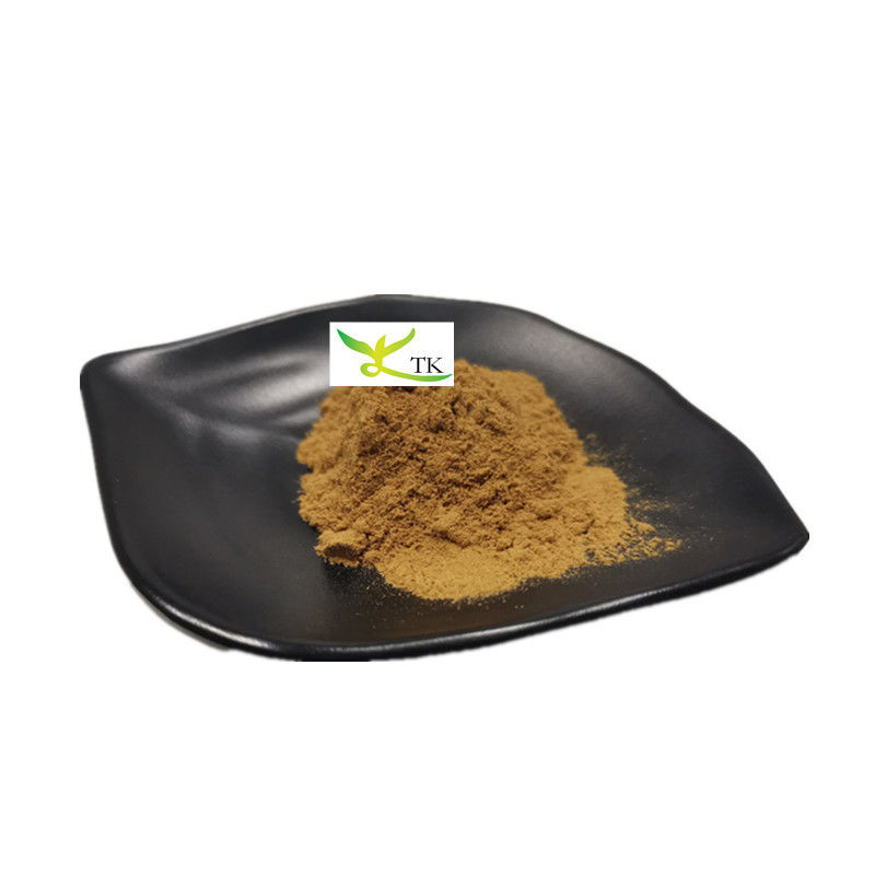 Wholesale Natural Yucca Schidigera Extract Powder Saponin 60% 80% Yucca Extract