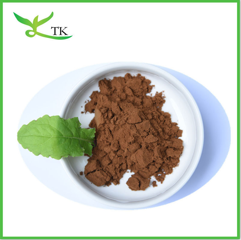 Best Quality 100:1/200:1 Kanna Extract Powder Sceletium Tortuosum Extract