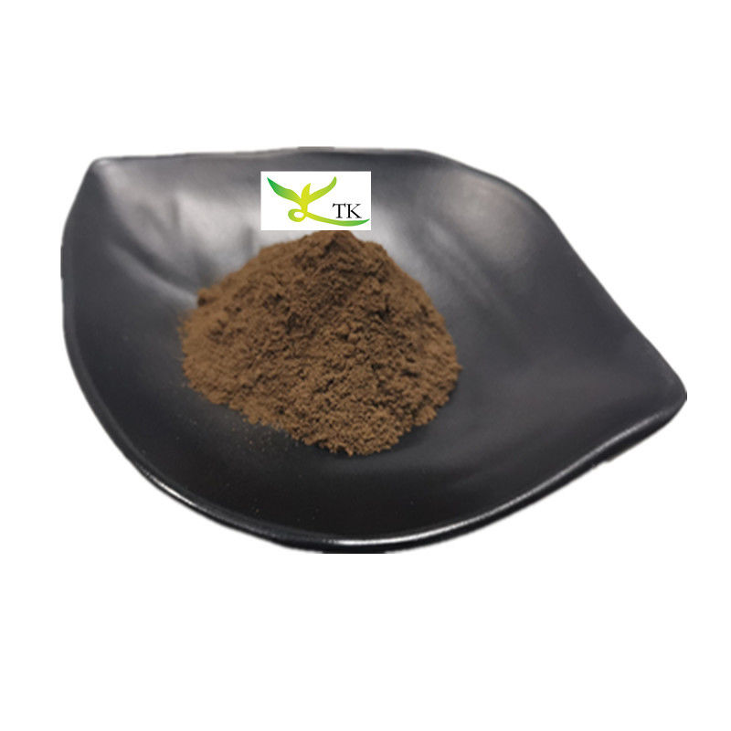 Natural Weight Loss Ingredient 10% 20% Senna Leaf Extract Powder Sennosides Senna Extract