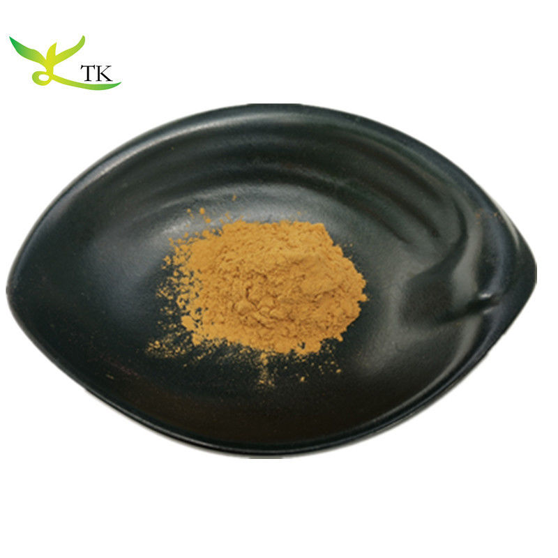 Wholesale Price Natural Evening Primrose Extract Evening Primrose Powder