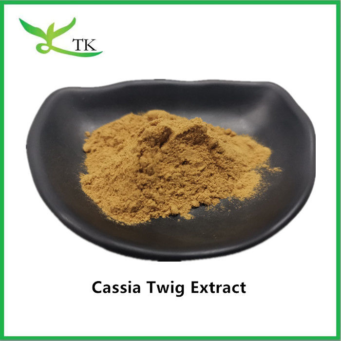 100% Natural Chinese Tradtional Herbal Extarct Gui Zhi Cassia Twig Extract Powder 10:1