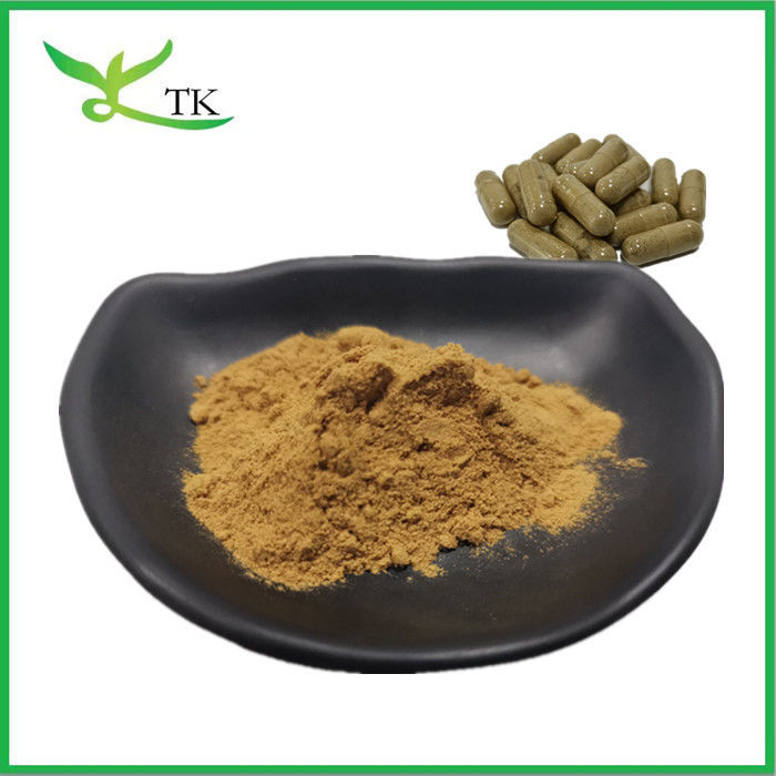Best Price Natural Brown Seaweed Extract Kelp Extract Fucoidan Powder