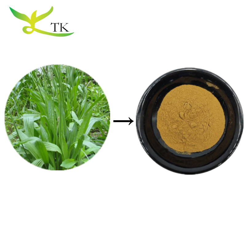 Natural Plant Extract Asiatic Plantain Leaf Extract Powder Plantago Lanceolata Extract