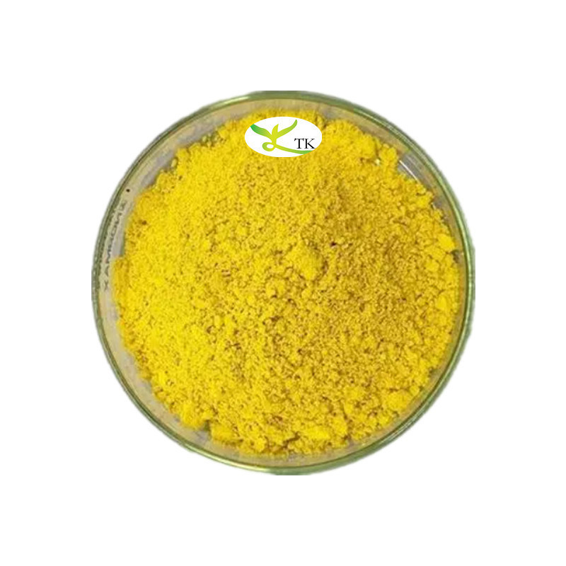 Natural Herbal Extract Barberry Root Extract Powder Berberine Berberis Vulgaris Extract