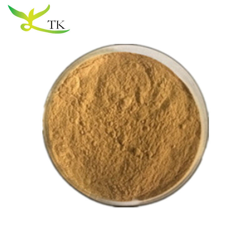 Natural Herbal Extract 10:1 20:1 Sassafras Extract Powder Sassafras Root Bark Extract Powder