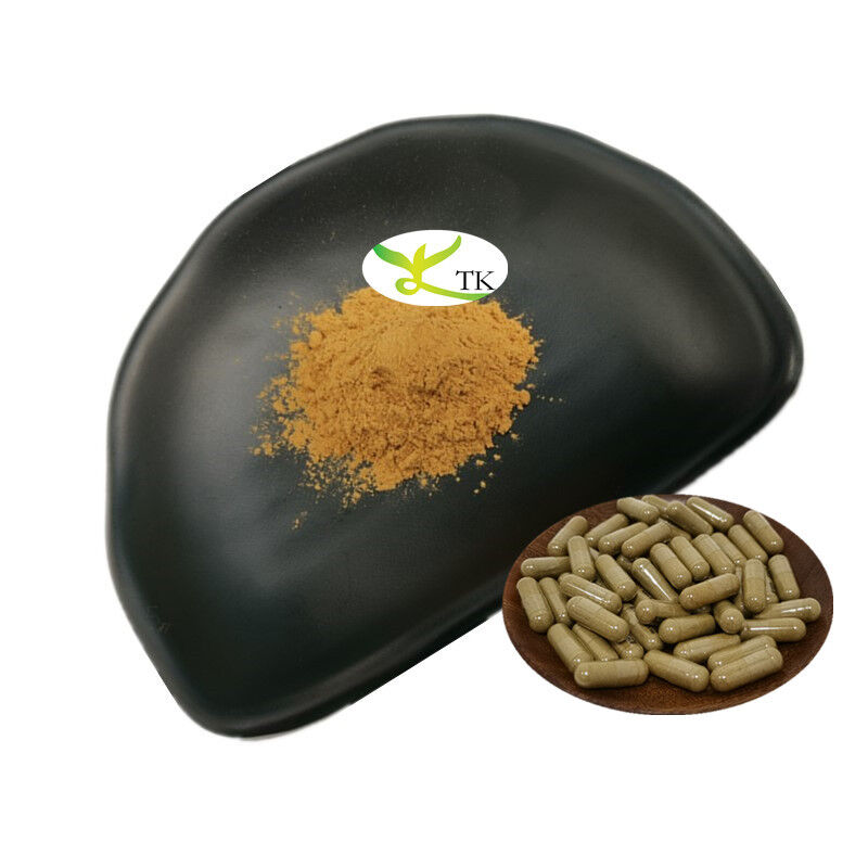Natural Gingko Biloba Extract Powder Ginkgo Biloba Leaf Extract Ginkgo Flavonoids 24%