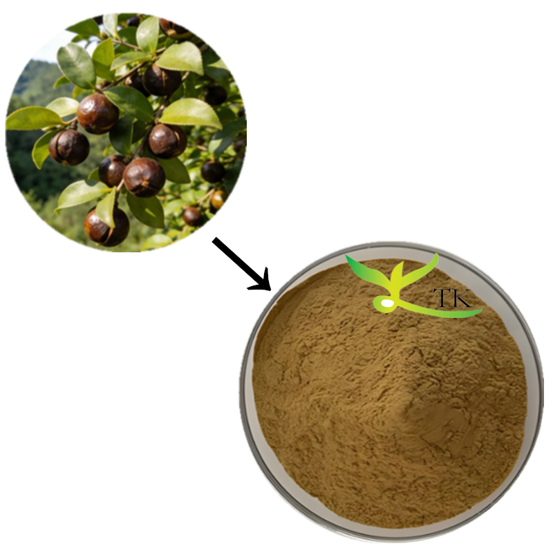Wholesale Price 100% Natural Camellia Sinensis Extract Powder Tea Saponin Extract For Cosmetic