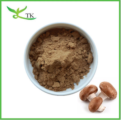 Zuivere natuurlijke planten Shiitake paddenstoel extract poeder Polysacchariden Shiitake paddenstoel poeder
