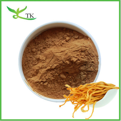 Natuurlijke paddenstofextract poeder Cordyceps Militaris extract poeder Polysaccharide Cordycepine
