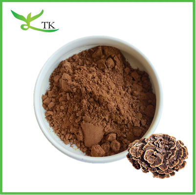 Pure Natural Coriolus Versicolor poeder kalkoen staart paddenstoel poeder capsules supplement