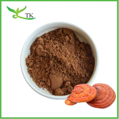 Bulk Champignon Complex Poeder Champignonmix Poeder Biologisch mengsel Champignonpoeder