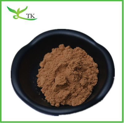 30% polysaccharide Chaga champignon extract poeder