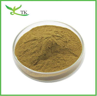 Groothandel Nuciferine Lotus Leaf Extract Poeder Lotus Leaf Poeder Gewichtsverlies