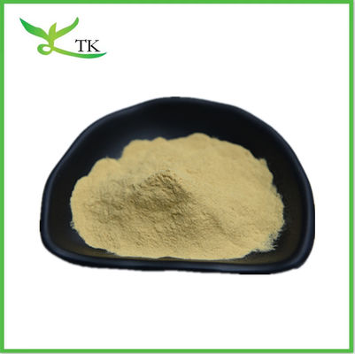 Pure Monk Fruit Extract Powder Mogroside V 25%-50% Luo Han Guo Extract Natuurlijke zoetstof